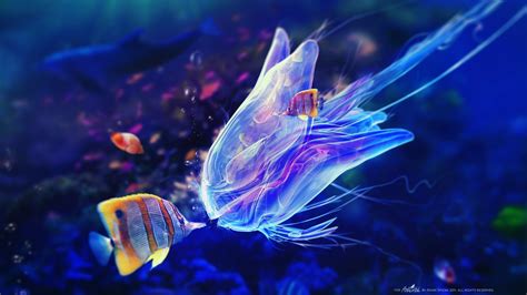 Underwater Fish 1080p Digital Art Kissing Sea Bubbles Fantasy