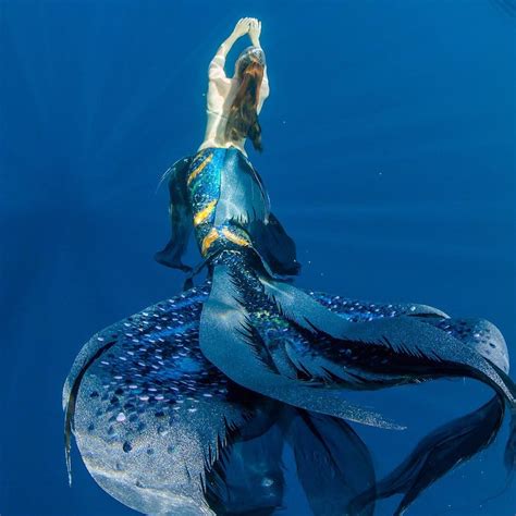 Iwak Lele Mermaid Swim Tail Siren Mermaid Mermaid Cove Mermaid