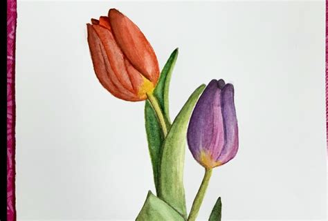 Botanical Watercolor Series Simple Tulip Flowers Painting For