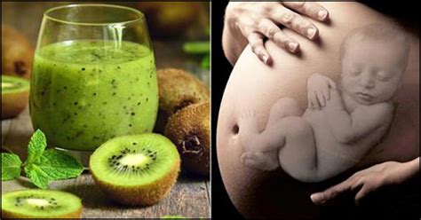 Kiwi Fruits For Pregnancy Encycloall