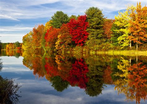 As i, like pr rupert leave bristol with my tail between my legs, i it is with great regret to announce that the fall have had to cancel the show in portugal tomorrow. Five Little Known Facts about Fall in New Hampshire