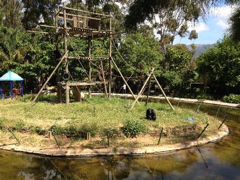 Monkey Town Primate Centre Somerset West 2020 What To Know Before