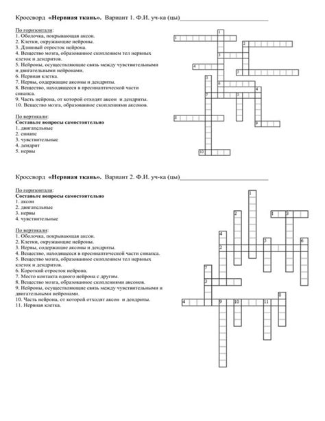 The Ultimate Guide To Brain Anatomy Crossword Answers
