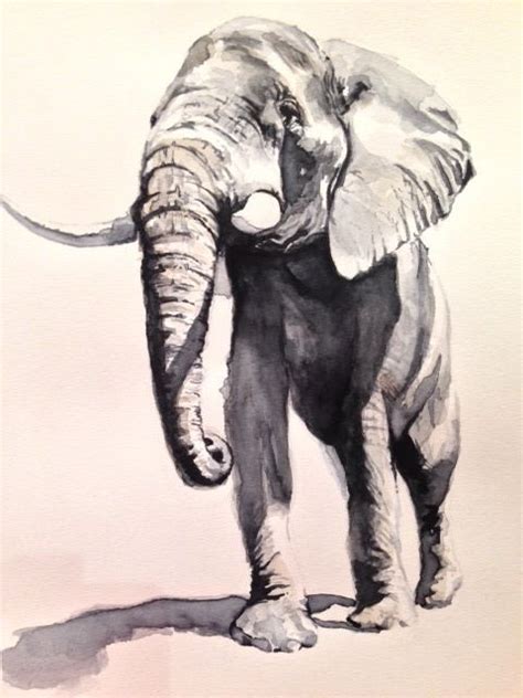If you are looking for pooch perfect you've come to the right place. An elephant would be the perfect pet for me. He could help carry my baggage and remember all the ...