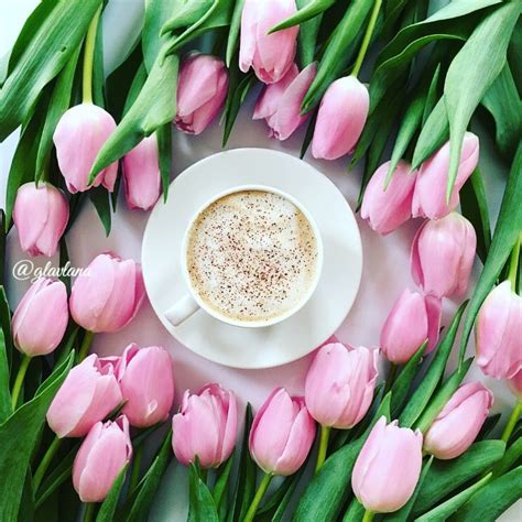 Coffee Tulips Flowers Cappuccino Spring Lifestyle Flatlay