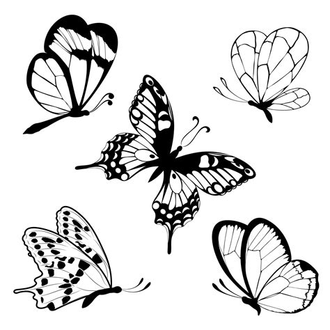 Coloriage Petit Papillon Imprimer Serkokatrinad