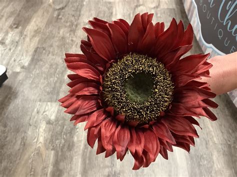 Red Sunflower Long Stem 353428