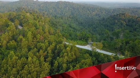 Kalimantan Timur Dipilih Jadi Ibu Kota Baru Ri Begini Lokasinya