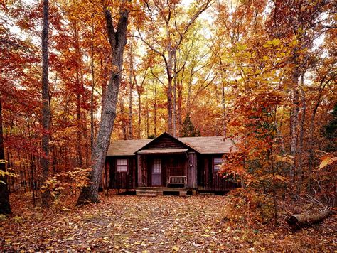 Illuminated window in a cabin in the woods. Free photo: Autumn, Fall, Foliage, Forest - Free Image on ...
