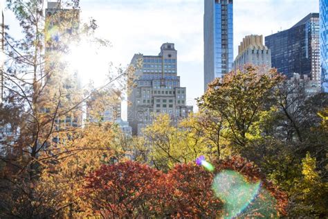 Colorful Trees Of Central Park In Fall With The Skyline Buildings In