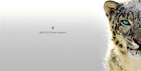 Mac Os X Leopard Wallpapers Wallpaper Cave