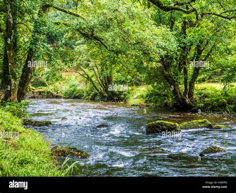 The River Barle In The Exmoor National Park Somerset Stock Photo Alamy