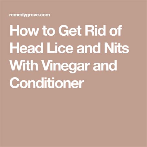 How To Get Rid Of Head Lice And Nits With Vinegar And Conditioner