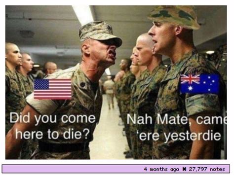 51 Times Australians Were The Funniest On Tumblr Funny Aussie Funny