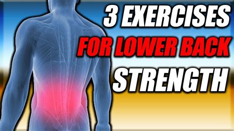 3 Exercises To Strengthen Your Lower Back Youtube