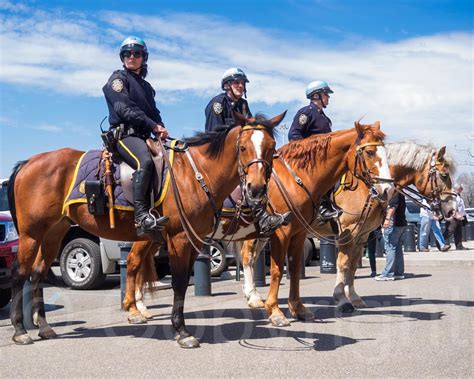 Nypd Police Mounted Unit 2015 New York Mets Opening Day Flickr