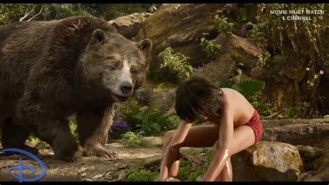 The jungle book study guide contains a biography of rudyard kipling, literature essays, quiz questions, major themes, characters, and a full summary baloo the bear is a wonderfully amiable companion for mowgli, capable of instructing him on how to obtain and use the bare necessities in life. BALOO Best Scenes Bear Baloo Mowgli Best Funny Moments - The Jungle Book 2016 HD - YouTube