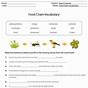 Food Webs And Food Chains Worksheet Answers Key