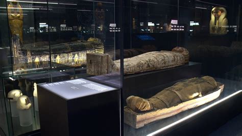 new exhibit on ancient egypt opens at natural history museum youtube