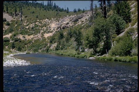 Calphotos Nelson Point On The Middle Fork Of The Feather River Plumas