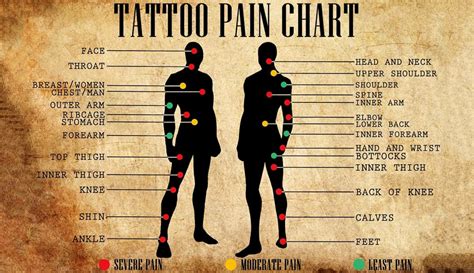 Tattoo Pain Level Chart Female