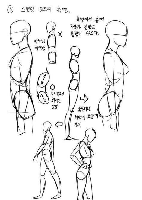 Pin By 𝔎 On Mias Refs For Arts Profile Drawing Drawing Reference