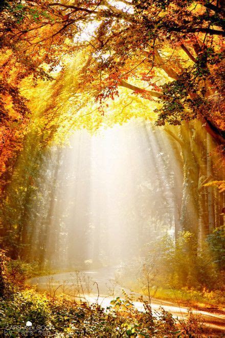 Light- Radiance is the bright light or heat emitted by a radiant object