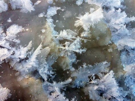 Snow Crystals Formed By Wind On A Frozen Surface Stock Photo Image Of