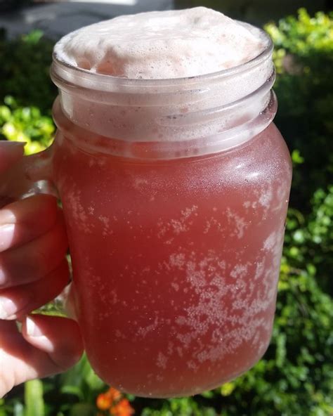 How To Make Bubbly Fruit Flavored Kombucha Cultured Food Life