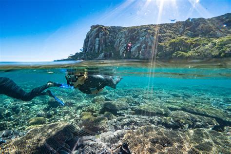 8 Snorkelling Spots At Great Keppel Island Visit Capricorn