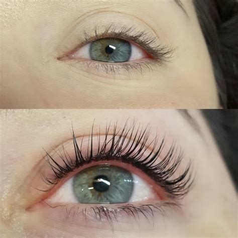 eyelash extensions vs lash lift — highbrow beauty eyelash extensions and wax in san diego