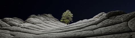 Macos Big Sur Wallpaper 4k Stock Daytime Lone Tree Sedimentary Images