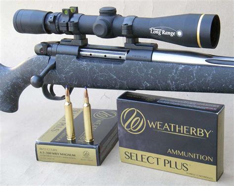 6 5 300 Weatherby Magnum