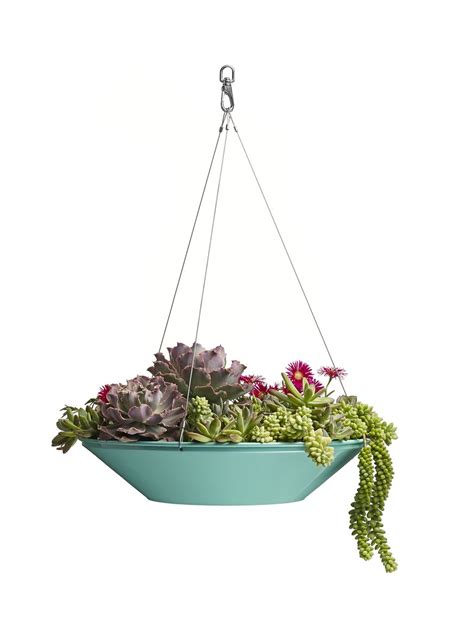Plant A Modern Hanging Basket Sunset Magazine
