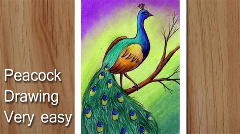 How To Draw A Peacock Easy And Simple Simple Scenery Drawing For Beginners