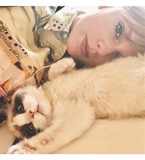 Taylor Swifts Cat Is The Third Wealthiest Pet In The World With A