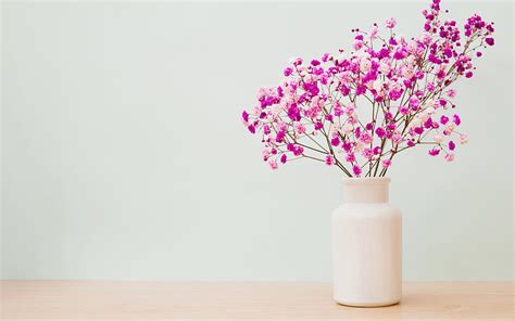 Purple Spring Flowers Flower Vase Stylish Pink Vase Flowers On The