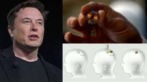 Astronomiaum On Twitter Neuralink Empresa De Elon Musk Est