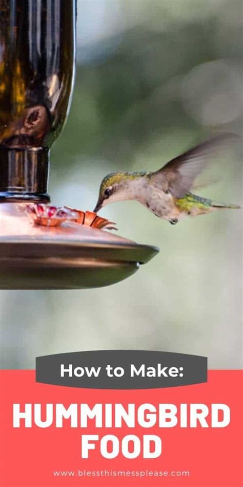 Humming Bird Food Recipe Bali Tips