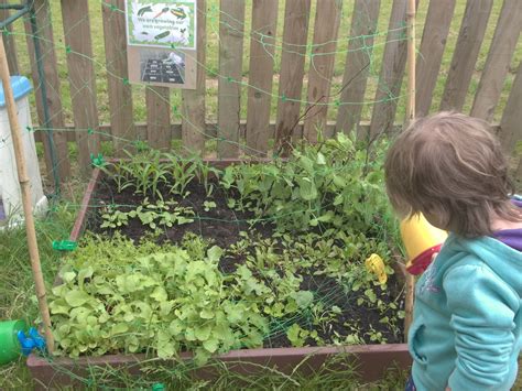 Before you decide what to grow, you need to know a little bit about your patch of soil. Vegetable Patch Update! | Lewannick Pre-School
