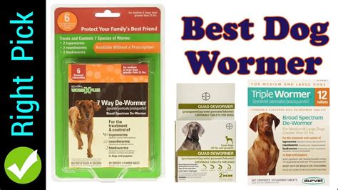 What Is The Best Wormer For Puppies