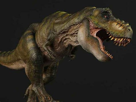 Nanmu Studio Nanmu Studio Jurassic Series Tyrannosaurus Rex The Once