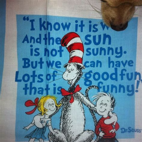 Cat In The Hat Cats Funny Fun