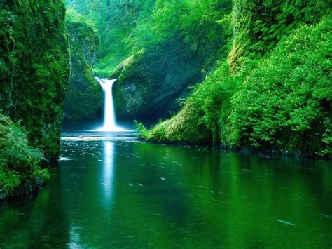 Waterfalls Is One Of The Most Beautiful Scenes Of Nature We Can Observe