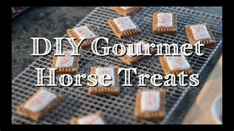 Diy Horse Treats Youtube Homemade Horse Treats Horse Treats Horse Diy