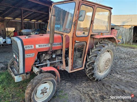 Ciągnik rolniczy Ursus Massey Ferguson MF 255 Kozłówka Sprzedajemy pl