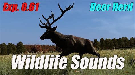 Dayz Standalone Wildlife Sounds Deer Herd W Buck Youtube
