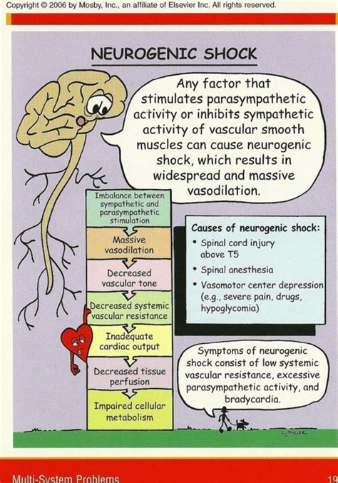 Nursing Case Study Hypovolemic Shock Assignment 1 For Medsurg