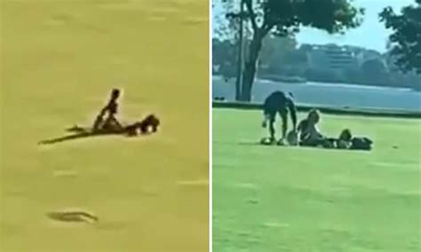 Perth Couple Are Caught Having Sex In The Middle Of A Public Park Daily Mail Online