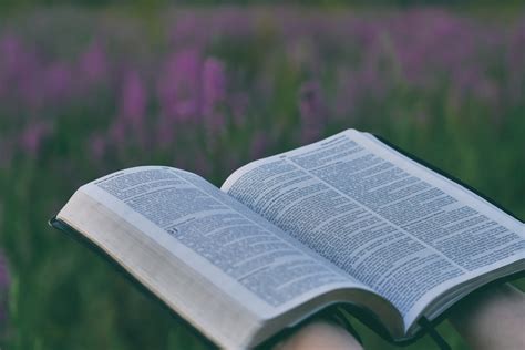 Right from the Heart | Daily Devotion from Joyce Meyer